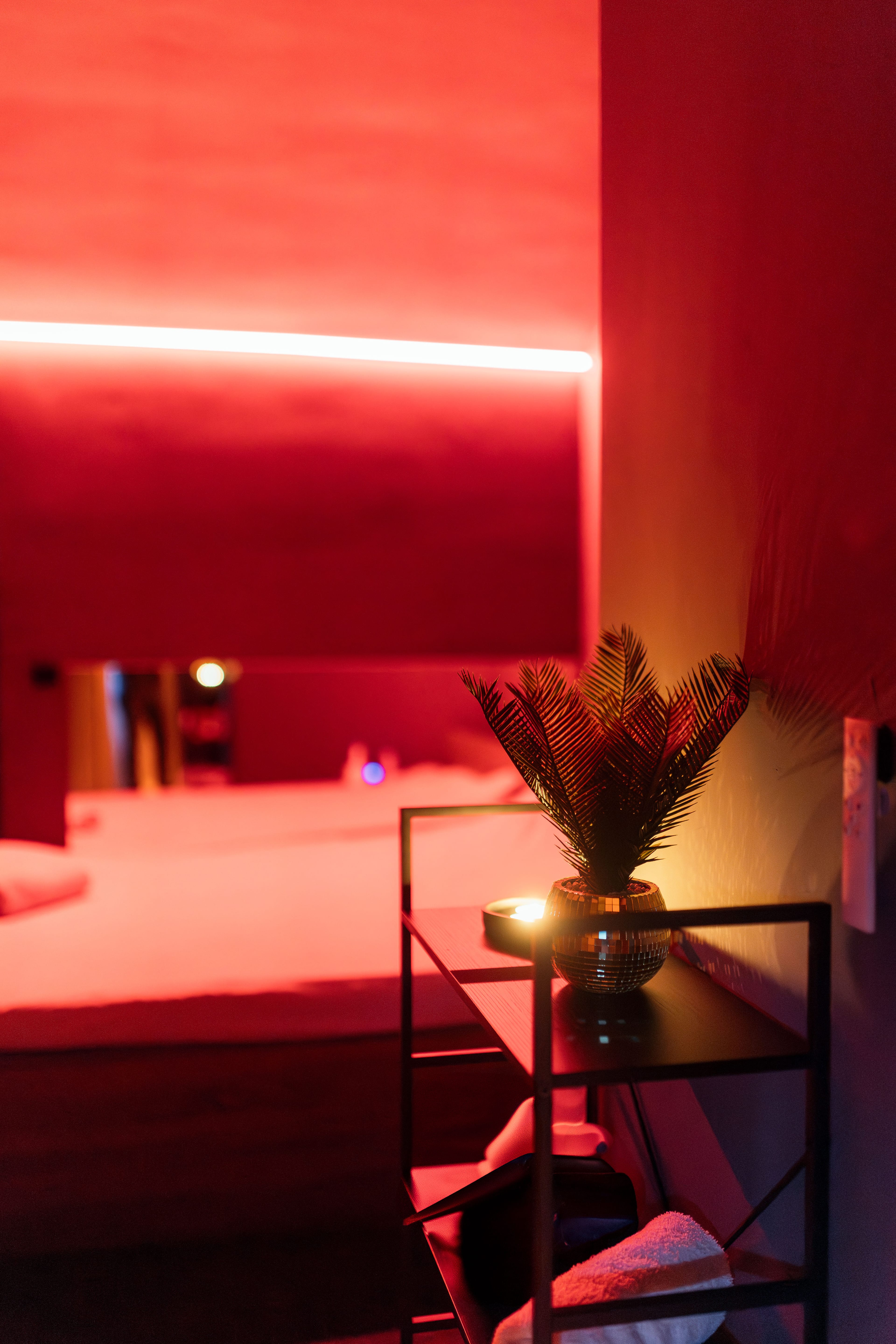 Interiér Lotus Dream - fotka 2